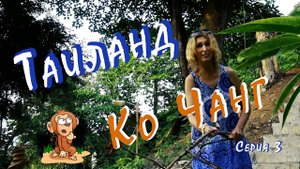 НАШЕСТВИЕ ОБЕЗЬЯН?, КАТАНИЕ НА СЛОНАХ? И  ОТЕЛЬ "SEA VIEW RESORT" НА ОСТРОВЕ КО ЧАНГ В ТАИЛАНДЕ
