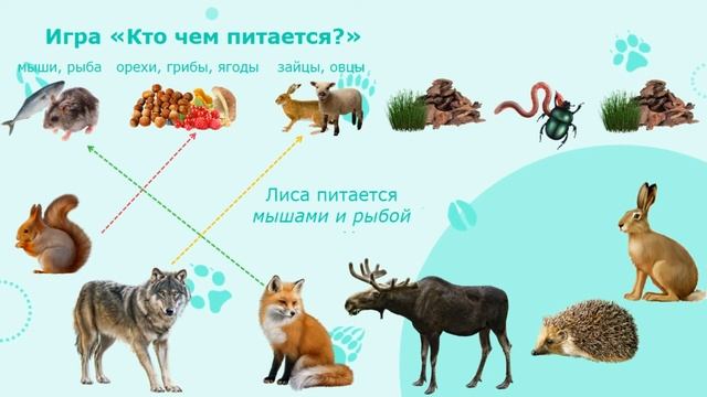 Занятия для дошкольников | Развитие речи | Тема: Дикие животные леса