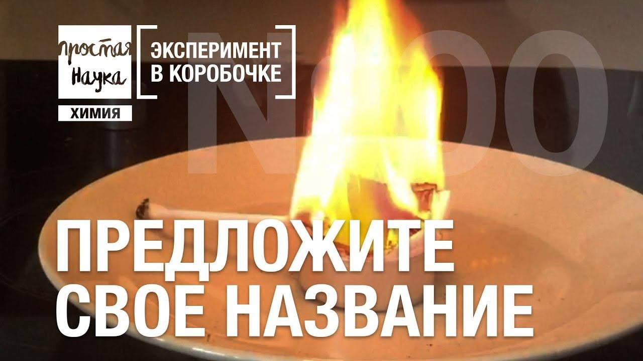ПРЕДЛОЖИТЕ НАЗВАНИЕ ДЛЯ ЭКСПЕРИМЕНТА