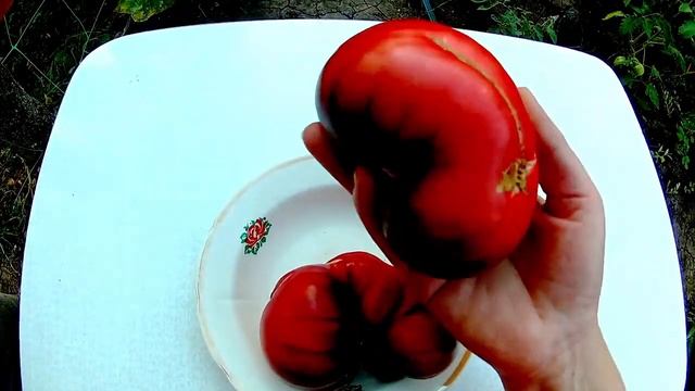 Томат Розовый сибирский тигр (Pink Siberian Tiger) смотреть онлайн