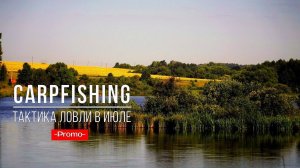 Карпфишинг: Тактика ловли карпа в июле PROMO