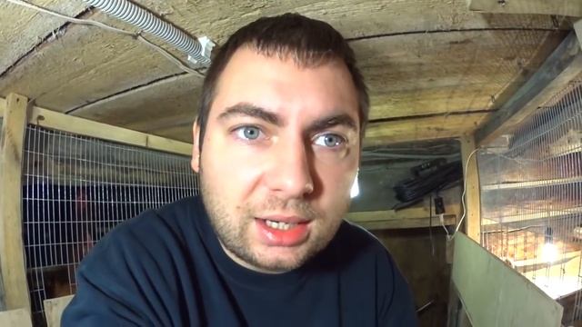 Мини-мясные куры смотреть онлайн