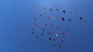 Парашютный спорт _ прыжок 38 россиян в 2018 г.mp4