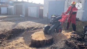 Моя новая услуга Удаление пней , Корчевание