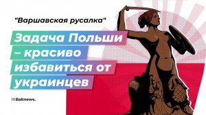 Журналист: Польша хотела поживиться на украинском проекте, но осталась ни с чем