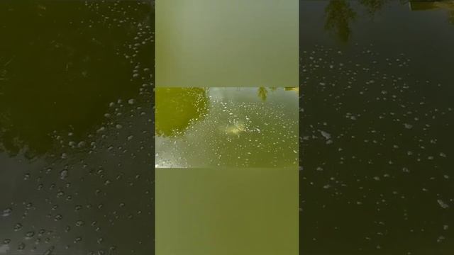 пруд своими руками, установка шланга для аэрации пруда.