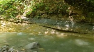 рыбалка в КБР # Trout fishing ?#форель #горы