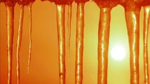 Не найдёт душа моя покоя