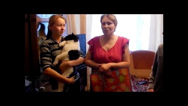 Проект "Рождественская елка ангела в Костроме" смотреть онлайн