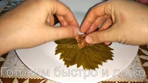 Что можно приготовить из листьев винограда? Долма самое вкусное блюдо