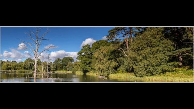 Landscape Photography - Clumber Park, Nottinghamshire смотреть онлайн