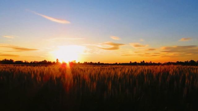 Медитация освобождения от душевной боли | Как облегчить состояние за 10 минут смотреть онлайн