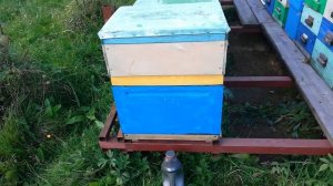 Как забрать мёд у злых семей, и не только у злых.