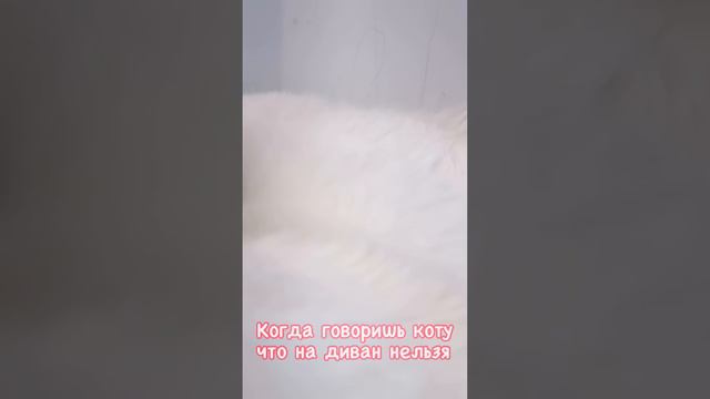 Нельзя на диван и все!