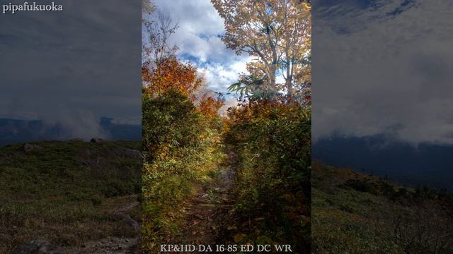 2021.秋〜道Trail PENTAX KP смотреть онлайн