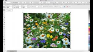 Уроки Corel Draw, создание и подготовка макета для печати на кружке