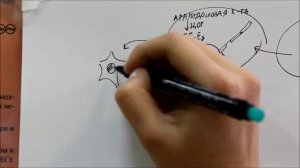 Патогенез лихорадки со звуком