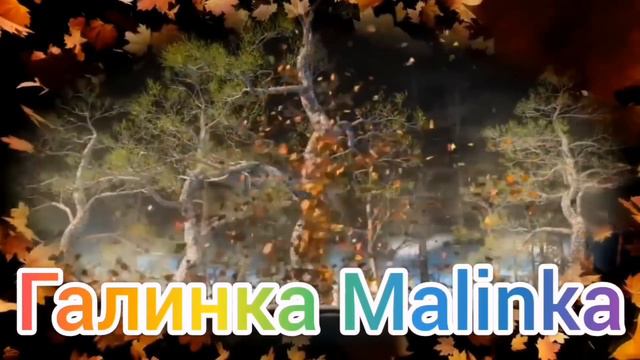 Ольга Уралочка live /Срочно Уралку в депутаты /Обзор Влогов /Уралочка и Сафар /
