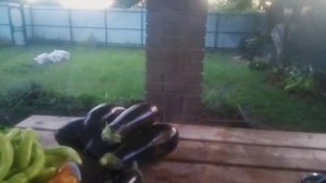 Безумно вкусный маринованный перец цицак! ?