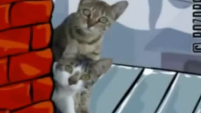 Прикольное поздравление с 8 Марта! смотреть онлайн