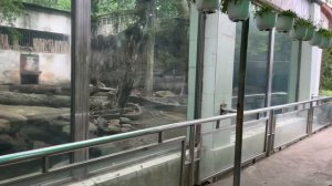 ХОШИМИН! Город - разочарование( Вьетнам во всей красе