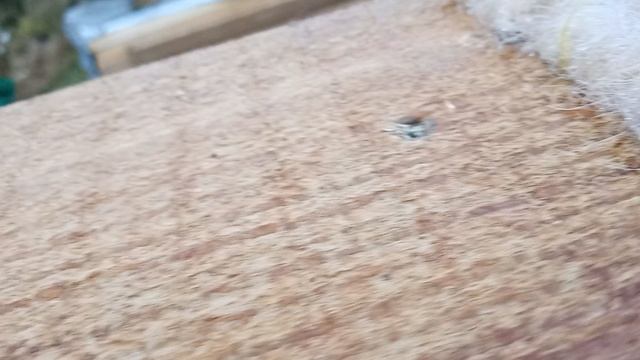 Постройка бани в Питере. ЧАСТЬ 4. смотреть онлайн