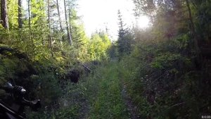 Regulmoto sk200 9 лесные покатушки