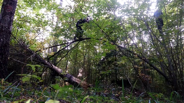 лазанеи по орешнику в лесу с другом смотреть онлайн