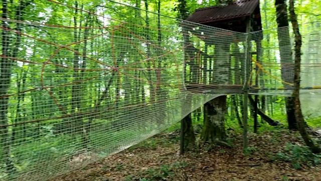 Веровочный парк/ Проходим препятствия и учимся преодолевать страхи и трудности смотреть онлайн