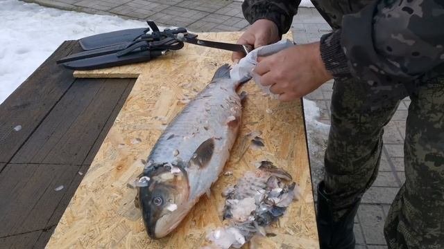 Чистим рыбу без рыбочистки