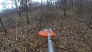 stihl fs250. покос кустарника