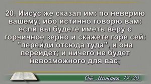 Ежедневное Чтение Библии 17 Января: Псалом 17, От Матфея 17, Бытие 33, 34