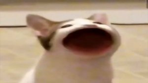 Кот широко открывает рот (Pop Cat) и говорит БАЦ (EARRAPE) (ГРОМКИЙ)