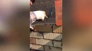 Строительство частных домов в Волгодонске, Индустриальная 106