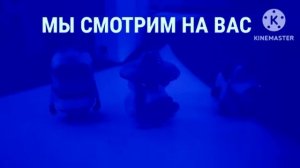 Заставки Мы смотрим На Вас 2х2 09.01.2023-07.12.2024 Effects Round 2