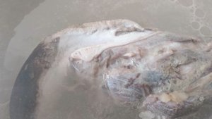Свиной язык с чесночным бульоном