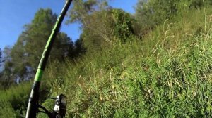 верхоплавка ловля на поплавочную удочку.