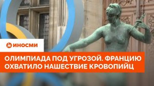 Олимпиада под угрозой. Францию охватило нашествие кровопийц