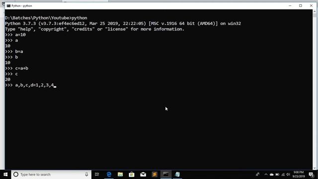 assignment operator in python