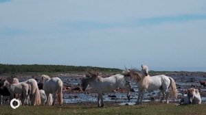 Нетуристический Кольский. Мурманская область. Открой свою Россию. 2021