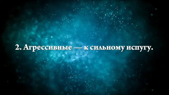 К чему снятся армяне - Онлайн Сонник Эксперт смотреть онлайн