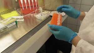 Выделение ДНК из шприцевых фильтров | eDNA extraction from syringe filters