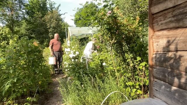 У свекрови на огороде,помогли Володиной маме,полили огород,отличное место,рядом ручей