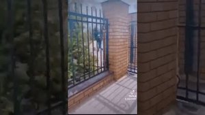 Захват школы Казань 11 мая 2021 г.