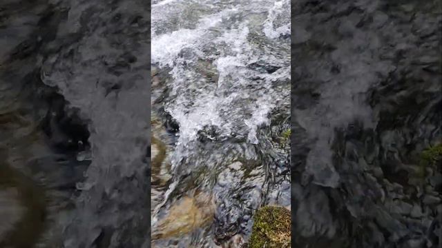 Крым 💖💖💖 с. Перевальное,  река Салгир 💎💎💎