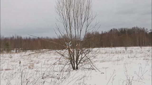 Налетел на дерево. Самолет Eachine F16 550mm.
