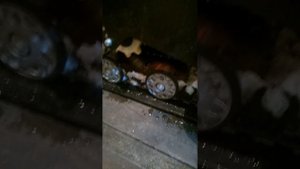 бурлак егерь спорт отзывы покупателя