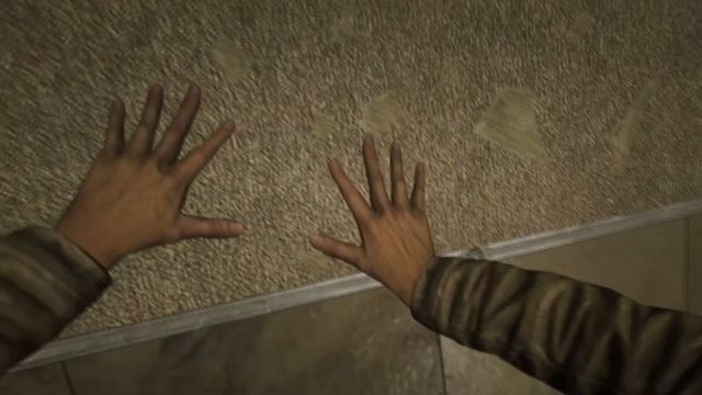 Outlast Прохождение №1 - Daniela.mp4