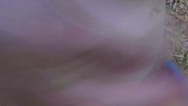 Неужели лучшее средство от комаров? Эффективное средство от насекомых? Защита от комаров на природе