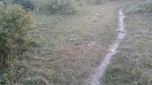 Нож мотокосы не косит даже с заточкой - исправляем